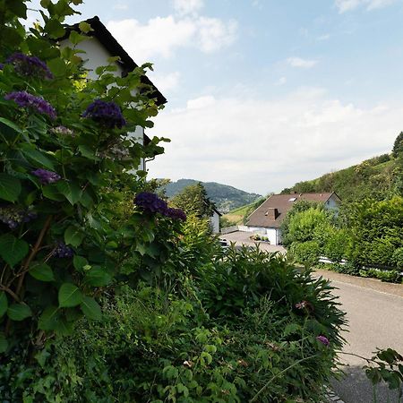 Ferienwohnung Wintereck Bühlertal Eksteriør billede