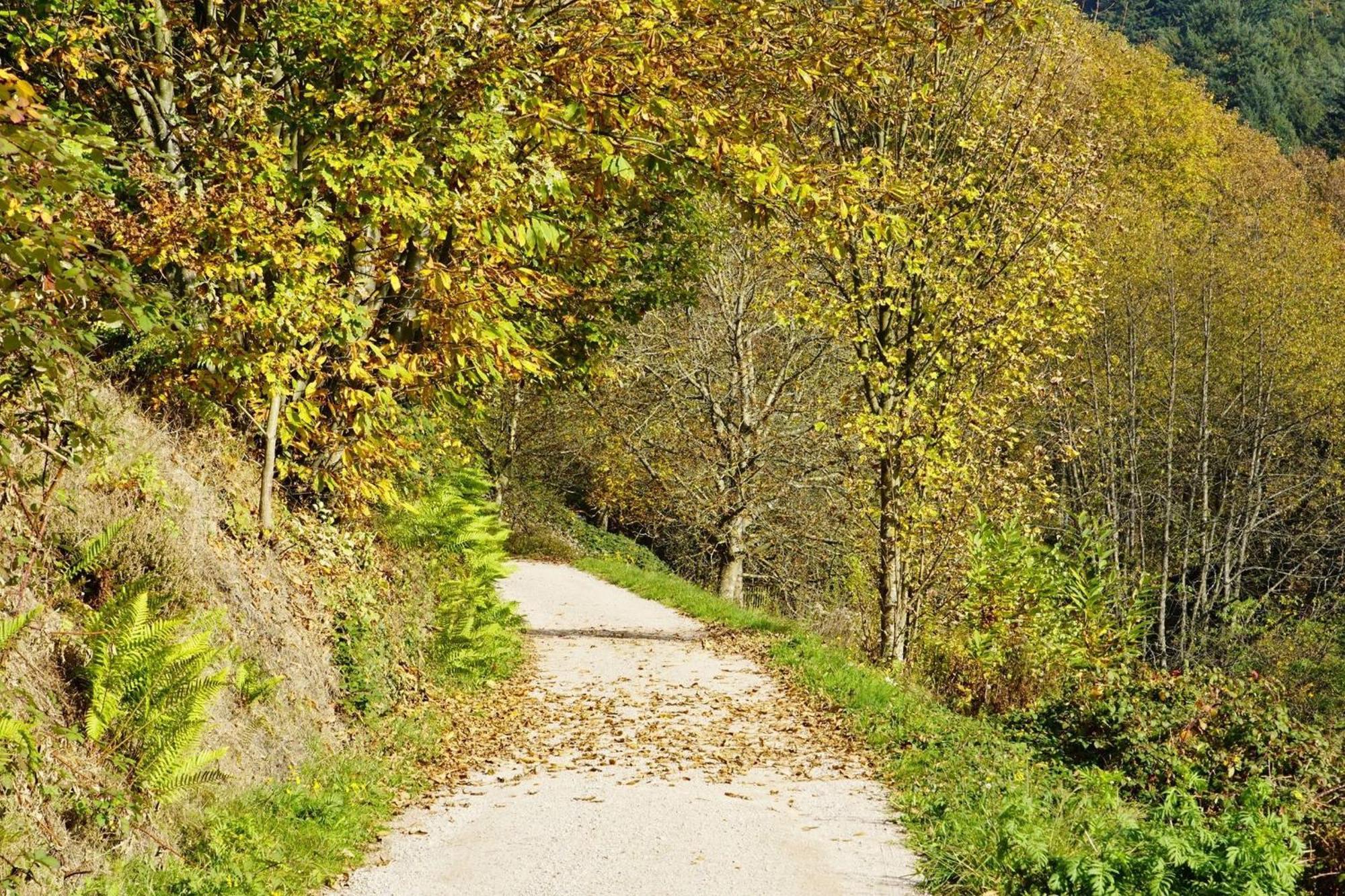 Ferienwohnung Wintereck Bühlertal Eksteriør billede