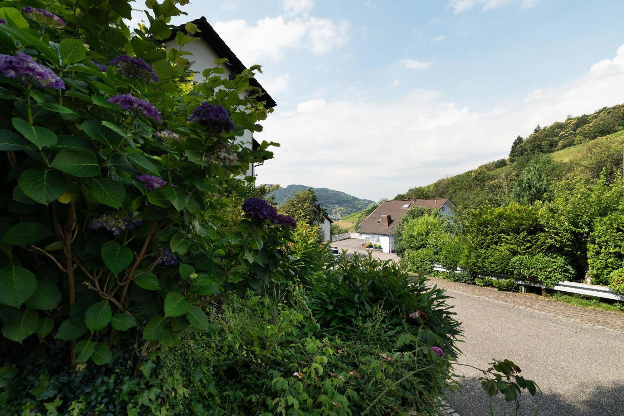 Ferienwohnung Wintereck Bühlertal Eksteriør billede