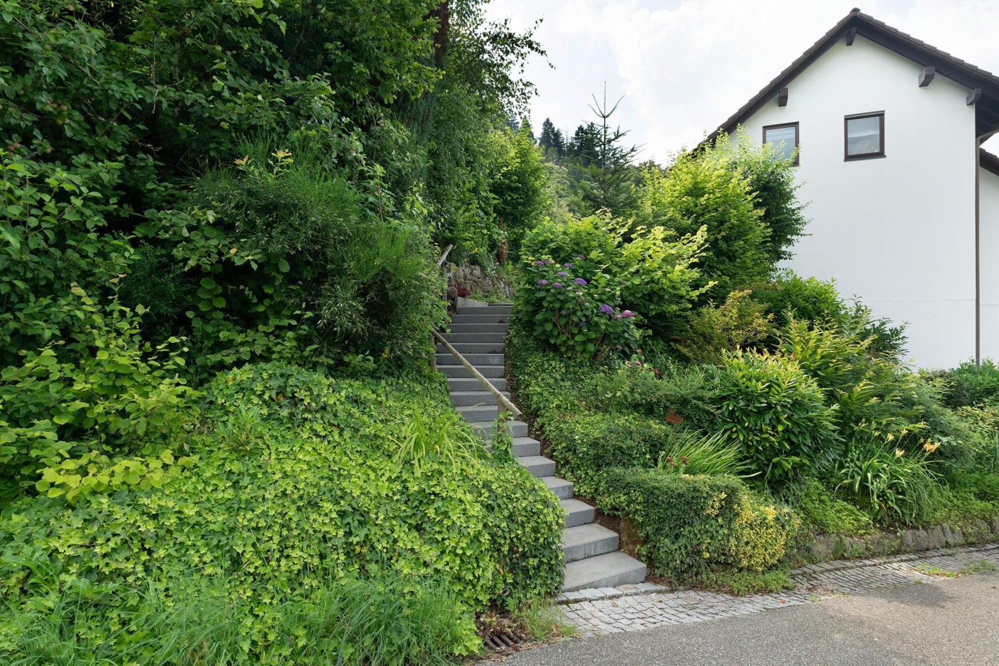 Ferienwohnung Wintereck Bühlertal Eksteriør billede